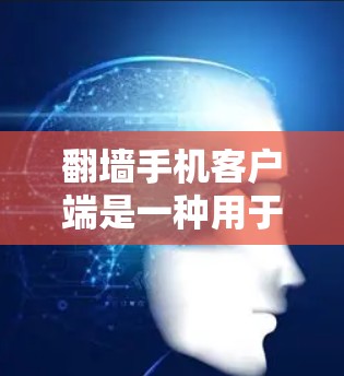 翻墙手机客户端是一种用于管理手机数据的工具，帮助用户通过上传、分发和恢复数据来避免数据丢失和损坏。以下是详细的使用步骤和信息