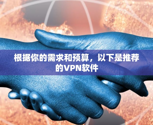 根据你的需求和预算，以下是推荐的VPN软件