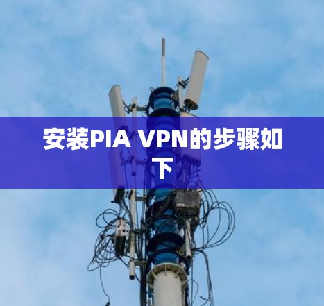 安装PIA VPN的步骤如下