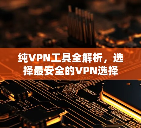 纯VPN工具全解析,选择最安全的VPN选择 纯VPN工具全解析,选择最安全的VPN选择