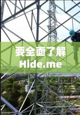 要全面了解Hide.me网站的VPN节点测速情况，可以按照以下步骤进行