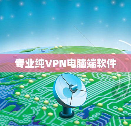 专业纯VPN电脑端软件 专业纯VPN电脑端软件