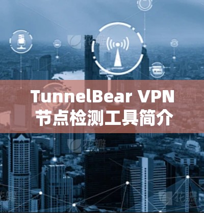 TunnelBear VPN 节点检测工具简介与应用案例分析