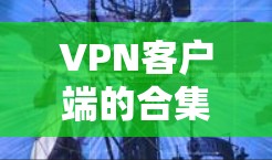 VPN客户端的合集通常包括多种主流的VPN服务，如腾讯、华为、美团、支付宝、奇虎云、腾讯云等。以下是几种常见的VPN客户端合集推荐