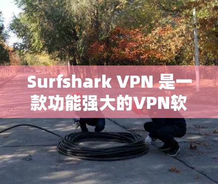Surfshark VPN 是一款功能强大的VPN软件，适合个人用户和企业用户使用。以下是使用Surfshark VPN官方软件的步骤指南