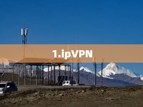 1.ipVPN 1.ipVPN