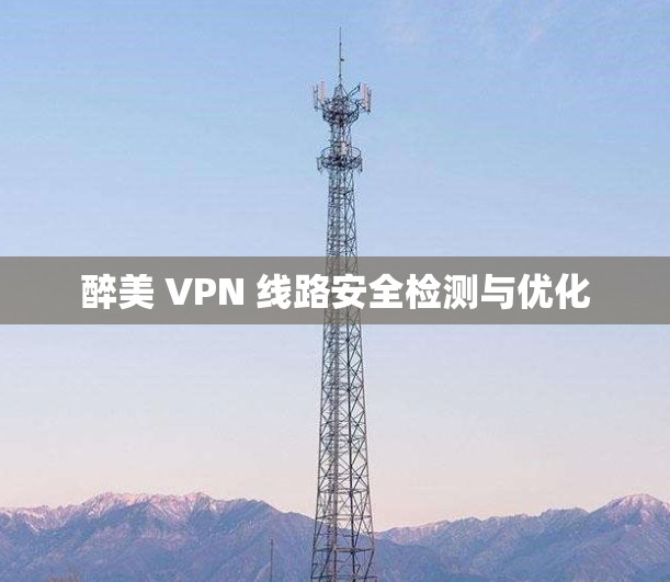 醉美 VPN 线路安全检测与优化 醉美 VPN 线路安全检测与优化