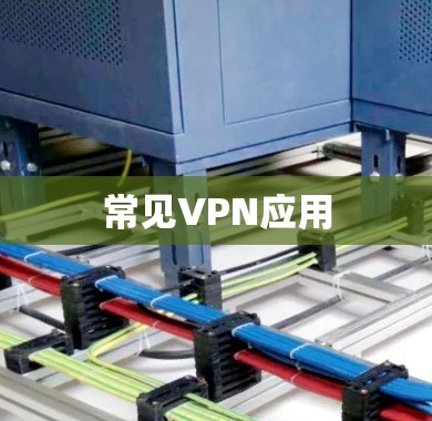 常见VPN应用