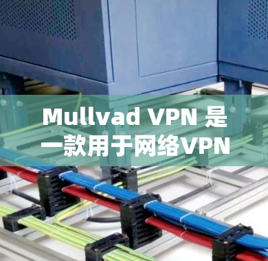 Mullvad VPN 是一款用于网络VPN的软件，主要用于在互联网上进行安全、私密的网络通信和共享文件。如果你对 Mullvad VPN 软件有疑问或需要进一步的指导，可以参考以下信息