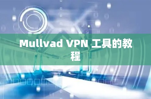 Mullvad VPN 工具的教程