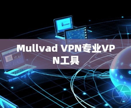 Mullvad VPN专业VPN工具