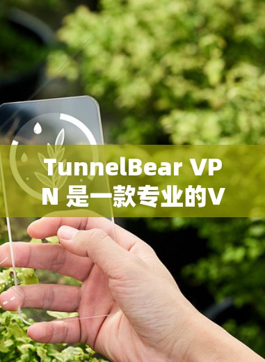 TunnelBear VPN 是一款专业的VPN客户端,适合在需要稳定性和安全性的环境使用。以下是根据你的需求和使用场景推荐的几种应用,供你选择 TunnelBear VPN 是一款专业的VPN客户端,适合在需要稳定性和安全性的环境使用。以下是根据你的需求和使用场景推荐的几种应用,供你选择