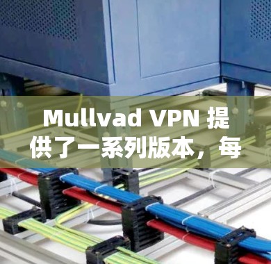 Mullvad VPN 提供了一系列版本，每个版本都有其独特的功能和性能特点。如果你正在寻找一个热门和功能全面的 VPN 解决方案，以下是一些推荐版本，根据功能、安全性、兼容性和使用需求来选择