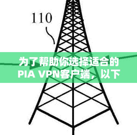 为了帮助你选择适合的PIA VPN客户端，以下是详细的步骤和评估建议