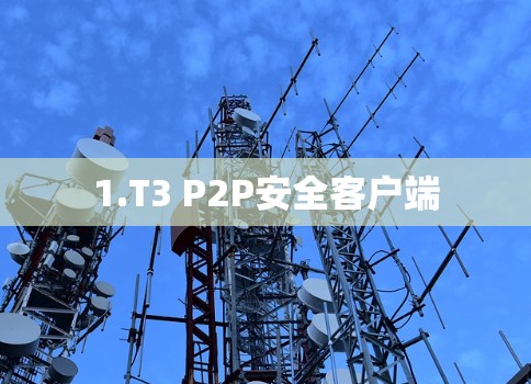 1.T3 P2P安全客户端