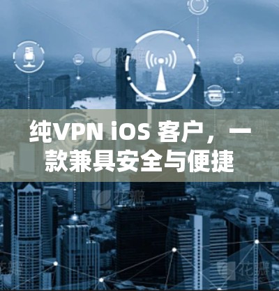 纯VPN iOS 客户，一款兼具安全与便捷的VPN应用