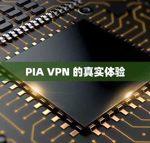 PIA VPN 的真实体验