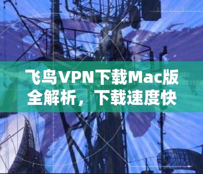 飞鸟VPN下载Mac版全解析，下载速度快，安装放心
