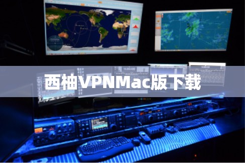 西柚VPNMac版下载 西柚VPNMac版下载