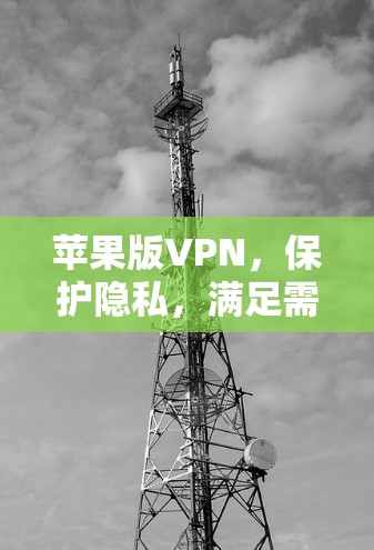 苹果版VPN，保护隐私，满足需求，选择你！