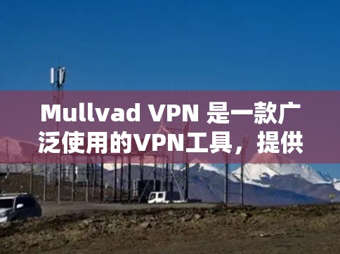 Mullvad VPN 是一款广泛使用的VPN工具，提供多种协议和功能，适合个人用户和企业用户。如果你正在寻找下载最新版本的Mullvad VPN，以下是一个下载链接和基本步骤