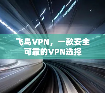 飞鸟VPN，一款安全可靠的VPN选择