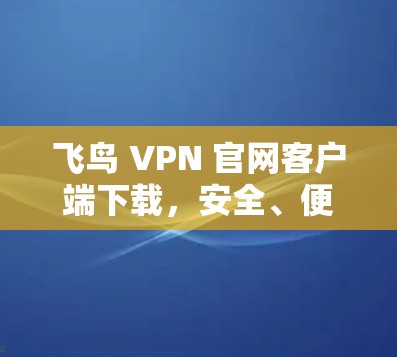 飞鸟 VPN 官网客户端下载，安全、便捷、轻松的VPN选择