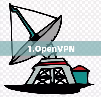 1.OpenVPN