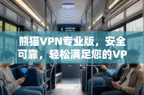 熊猫VPN专业版，安全可靠，轻松满足您的VPN需求