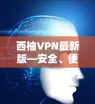 西柚VPN最新版—安全、便捷、放心