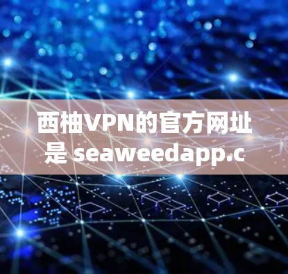 西柚VPN的官方网址是 seaweedapp.com。以下是获取该平台的步骤和下载方法