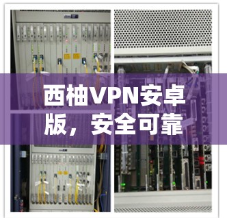 西柚VPN安卓版,安全可靠,轻松连接的保障 西柚VPN安卓版,安全可靠,轻松连接的保障