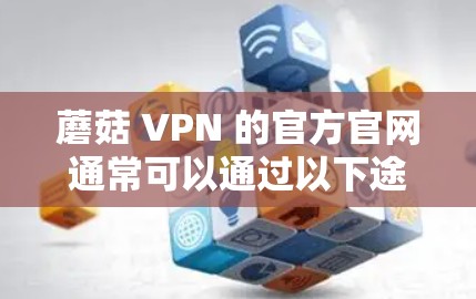 蘑菇 VPN 的官方官网通常可以通过以下途径访问