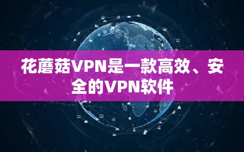 花蘑菇VPN是一款高效、安全的VPN软件 花蘑菇VPN是一款高效、安全的VPN软件