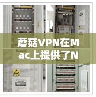 蘑菇VPN在Mac上提供了NAT版和WAN版，分别针对国内用户和国际用户。以下是它们的特点总结