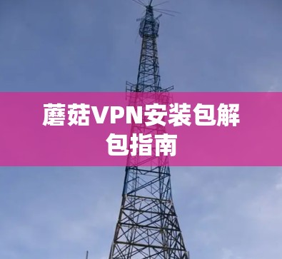 蘑菇VPN安装包解包指南