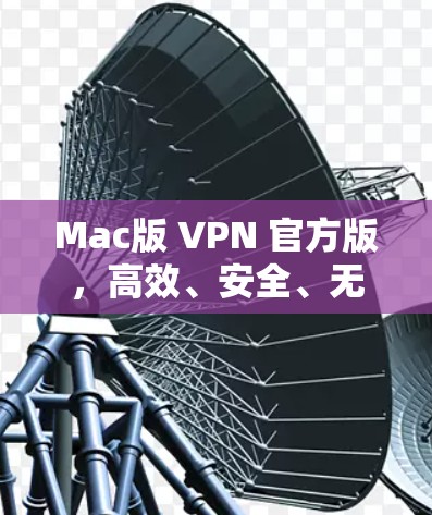 Mac版 VPN 官方版，高效、安全、无隐私，让你轻松享受互联网的无限可能