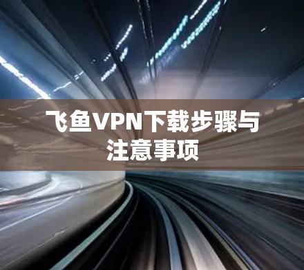 飞鱼VPN下载步骤与注意事项 飞鱼VPN下载步骤与注意事项