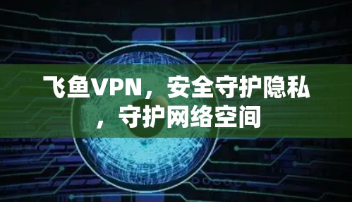飞鱼VPN，安全守护隐私，守护网络空间