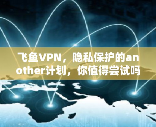 飞鱼VPN，隐私保护的another计划，你值得尝试吗？