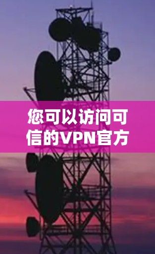 您可以访问可信的VPN官方网站，例如