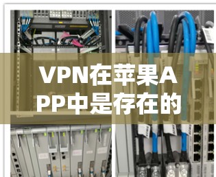 VPN在苹果APP中是存在的，但并不是官方的VPN服务。苹果可能不直接提供VPN应用，但可以根据苹果的隐私政策和规定，下载一些可信的VPN服务网站