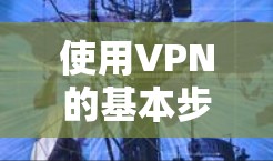 使用VPN的基本步骤如下
