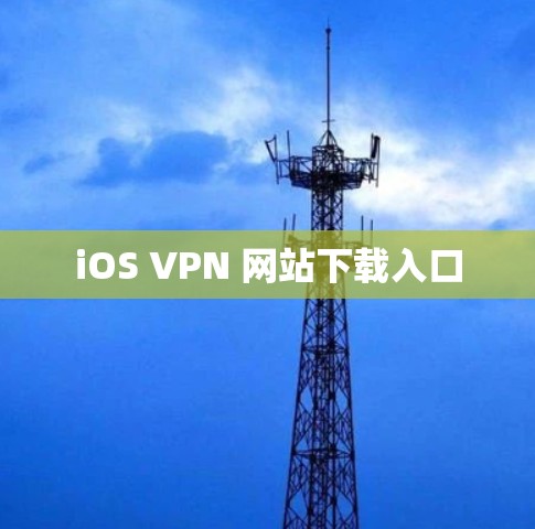 iOS VPN 网站下载入口 iOS VPN 网站下载入口
