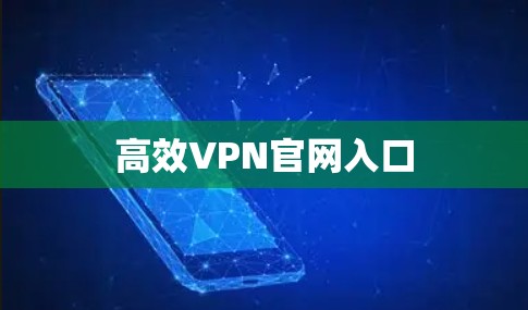 高效VPN官网入口