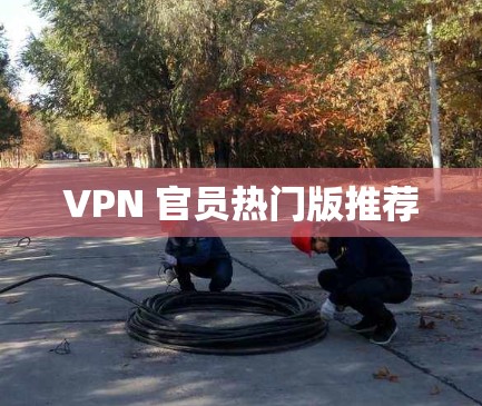VPN 官员热门版推荐 VPN 官员热门版推荐
