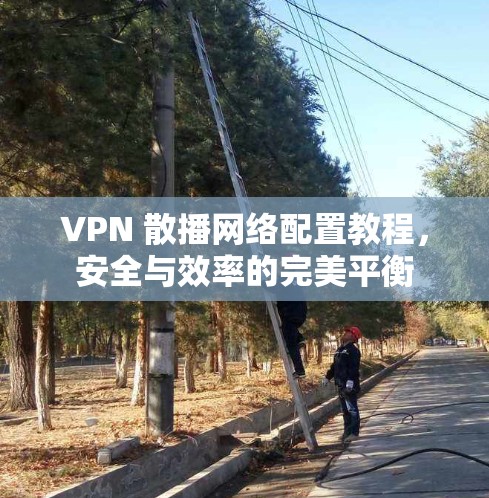 VPN 散播网络配置教程，安全与效率的完美平衡