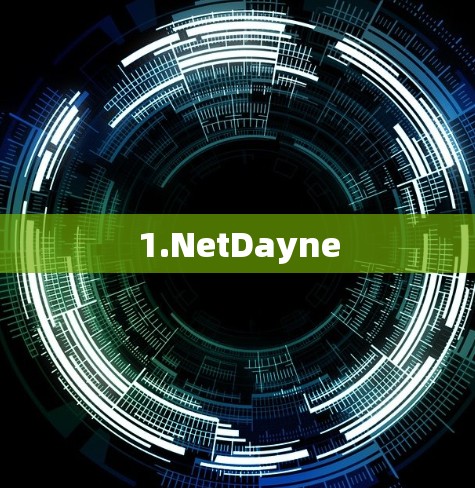 1.NetDayne