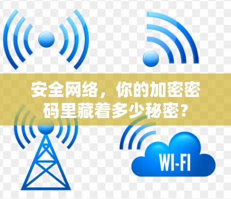 安全网络,你的加密密码里藏着多少秘密?