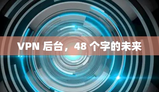 VPN 后台，48 个字的未来